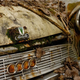 Illustration for article titled Another Massive Secret Vintage Junkyard Comes Under Fire